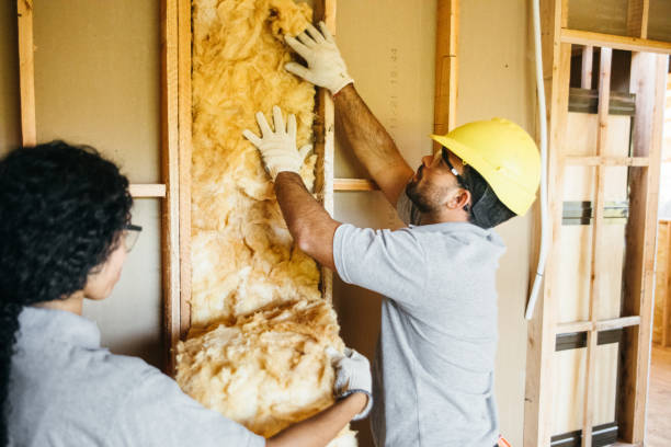 Best Best Insulation Companies  in Baywood Park, CA